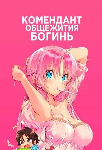 постер аниме Комендант общежития богинь 1 сезон 1-10 серия из 10 Без цензуры