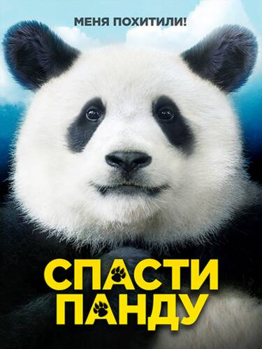 Спасти панду / Мистер Чжу: пропавшая ВИП-персона - Обложка (постер)