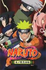 постер аниме Наруто: Найти темно-красный четырехлистный клевер! (OVA 1)